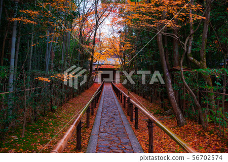 Autumn leaves of Takagiriin, Kyoto Autumn leaves of Takagiriin, Kyoto 56702574
