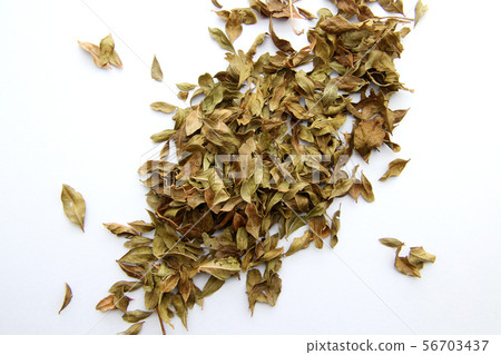 Scattered henna leaves Scattered henna leaves 56703437