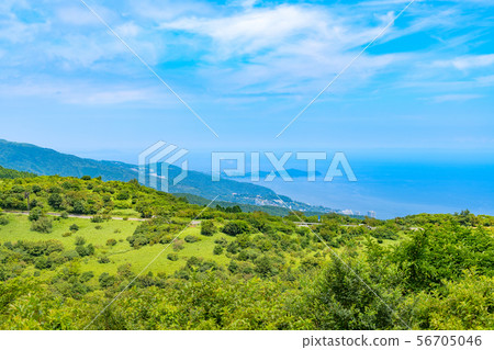 從Gentake靜岡縣伊豆天際線景觀 從Gentake靜岡縣伊豆天際線景觀 56705046