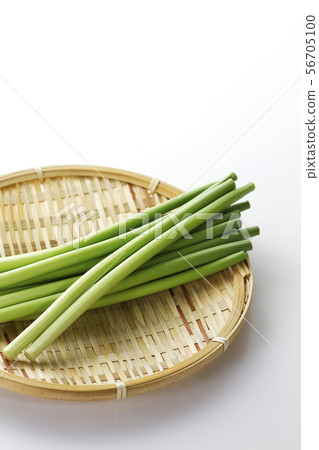 Garlic sprouts 11 Garlic sprouts 11 56705100