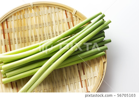 Garlic sprouts 14 Garlic sprouts 14 56705103