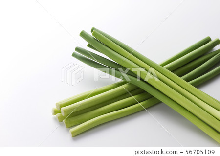 大蒜芽2 56705109
