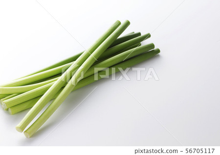 大蒜芽8 56705117