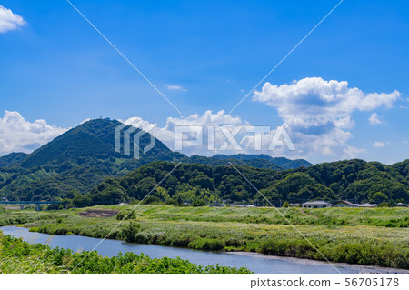 Katsuragi and Kano River, Izunokuni, Shizuoka Prefecture 56705178