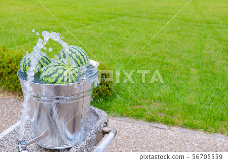 Watermelon chilled with cold water Summer image Watermelon chilled with cold water Summer image 56705559