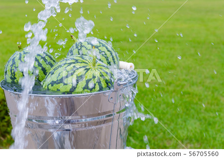 Watermelon chilled with cold water Summer image Watermelon chilled with cold water Summer image 56705560