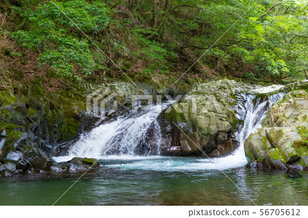 Namesawa Valley, Izu City, Shizuoka Prefecture 56705612
