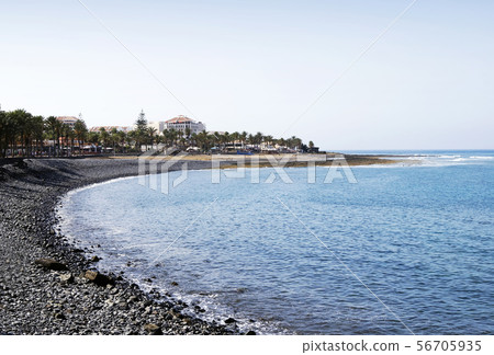 Shore near Playa de las Americas in Tenerife 56705935