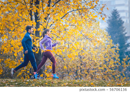 Woman and man jogging or running in park during autumn 56706136