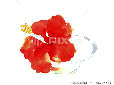 芙蓉水彩 芙蓉水彩 56706345