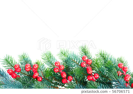 Christmas garland on white 56706571