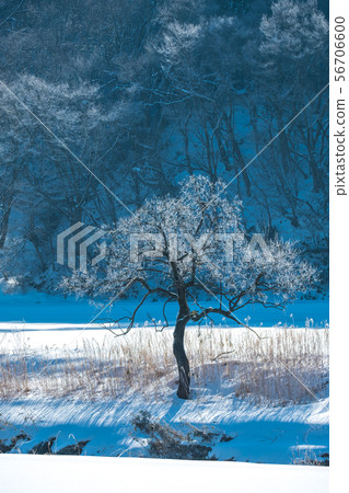 Hiyama Kogen Winter Frost Hiyama Kogen Winter Frost 56706600
