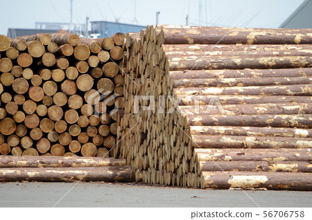Stacked timber 56706758
