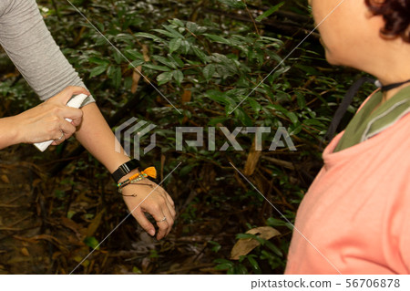 Two woman spraying mosquito insect repellent on her arm in tropical forest. Two woman spraying mosquito insect repellent on her arm in tropical forest. 56706878