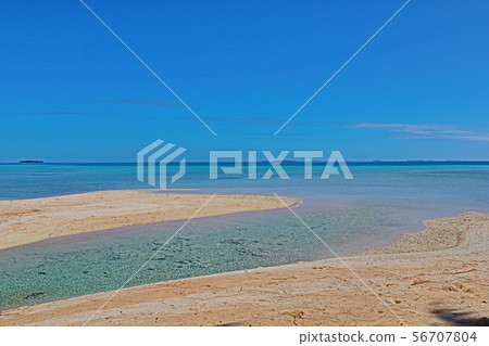 海 海 56707804