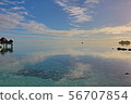海 56707854