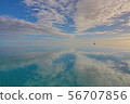 海 56707856
