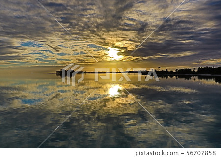 Sea Sea 56707858