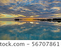 海 56707861