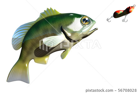 Black Bass 56708028