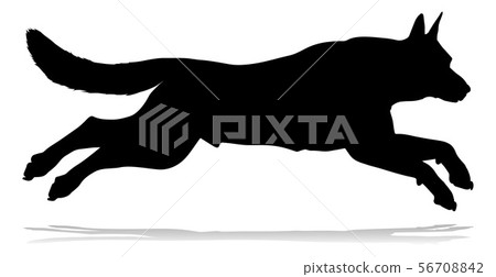 Dog Silhouette Pet Animal Dog Silhouette Pet Animal 56708842
