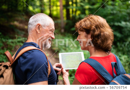 Senior tourist couple on a walk in forest in nature, using map on tablet. 56709754