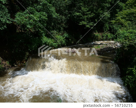 Torrent Torrent 56710255