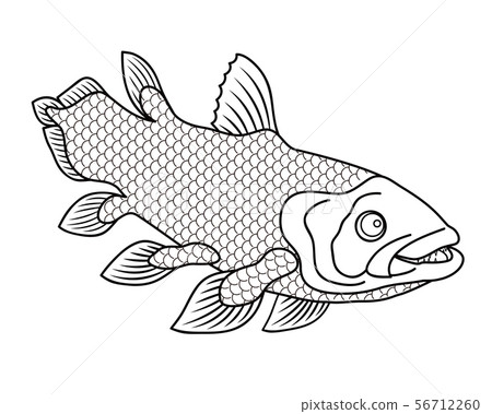 17++ Coelacanth Fish Coloring Page Free Download