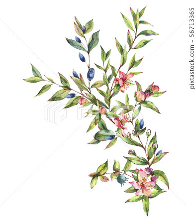 Watercolor Myrtle. Vintage Watercolor Greeting Watercolor Myrtle. Vintage Watercolor Greeting 56713365