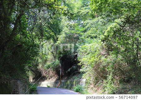 沿海公路 56714097