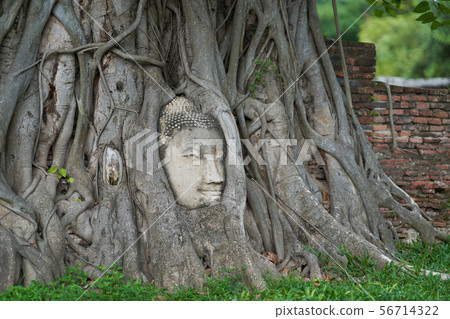 Wat Mahathat Ayutthaya 56714322