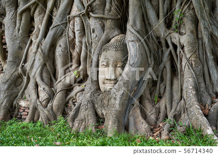 Wat Mahathat Ayutthaya Wat Mahathat Ayutthaya 56714340