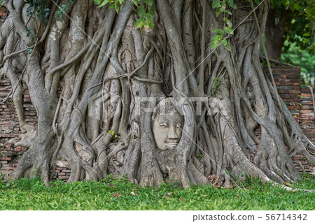 Wat Mahathat Ayutthaya Wat Mahathat Ayutthaya 56714342