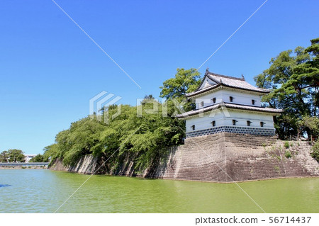 Shibata城堡新潟晴朗的城堡 56714437