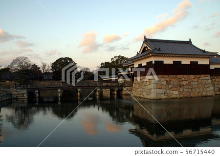 廣島城堡在黃昏 56715440