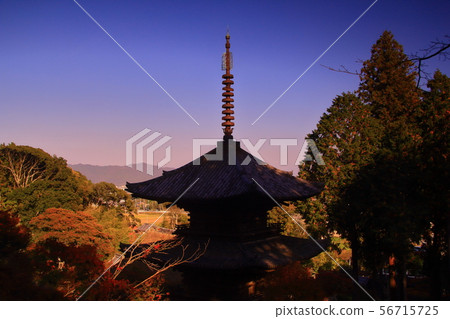 Changrakuji (Hunan City, Shiga Prefecture) Autumn leaves in the precincts 56715725