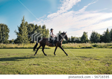 Girl teenager jockey trains on the field and at the hippodrome. 56716595
