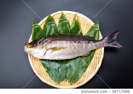 Isaki Fish Isaki Fish 56717066