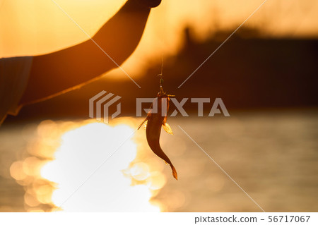 Young man fishing at sea Young man fishing at sea 56717067