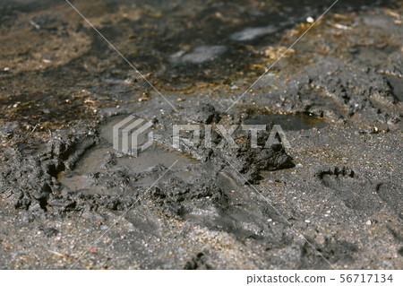 Therapeutic mud clay black Therapeutic mud clay black 56717134