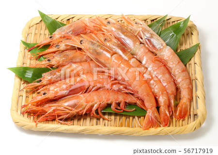 Shrimp colander, Argentine shrimp Shrimp colander, Argentine shrimp 56717919