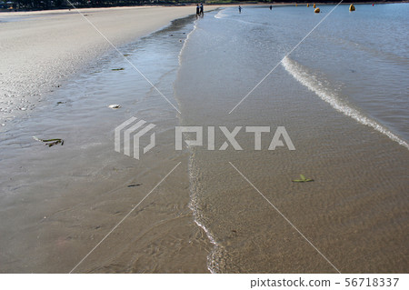 海灘沙灘 海灘沙灘 56718337