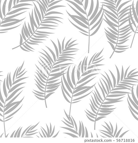 Beautifil Palm Tree Leaf  Silhouette Seamless 56718816