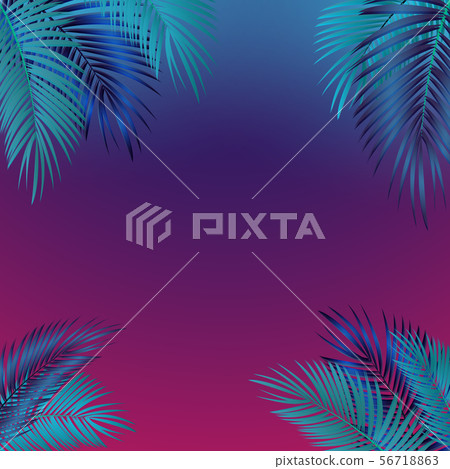 Palm Leaf Vector Background Illustration 56718863