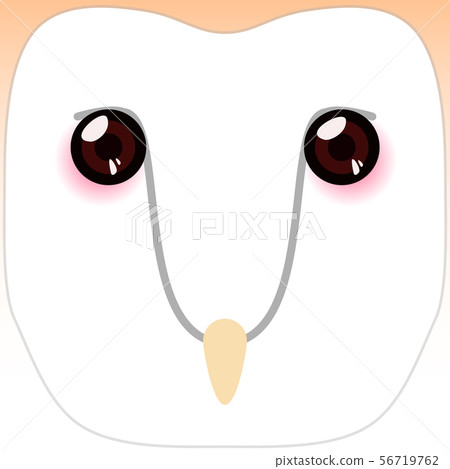 Barn Owl face Barn Owl face 56719762
