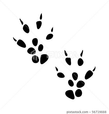Mouse track icon. Small rat rodent prints. Vector 56719888