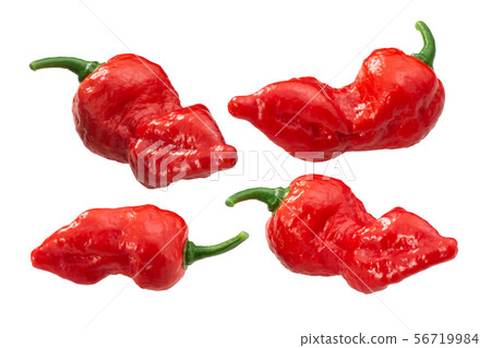 Fatalii peppers c. chinense, paths 56719984