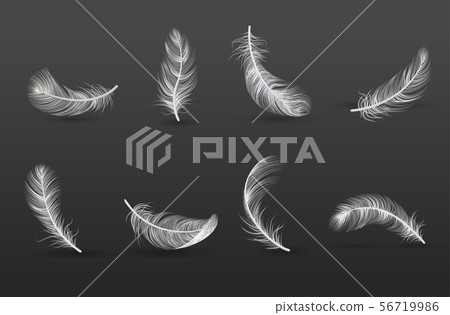 Realistic Feather Icon Set 56719986