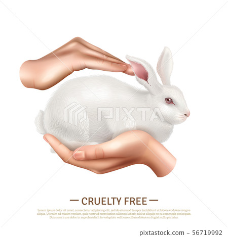 Cruelty Free Design Concept  56719992