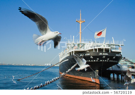 Hikawamaru and Gull of Yamashita Park, Yokohama City 56720119